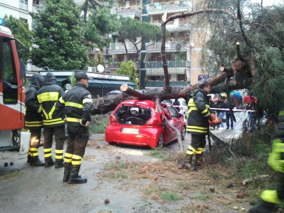 Watch Now Auto Schiacciata da Albero Divelto, Primi Disagi a Napoli del Ciclone Lucy Auto Schiacciata da Albero Divelto, Primi Disagi a Napoli del Ciclone Lucy
