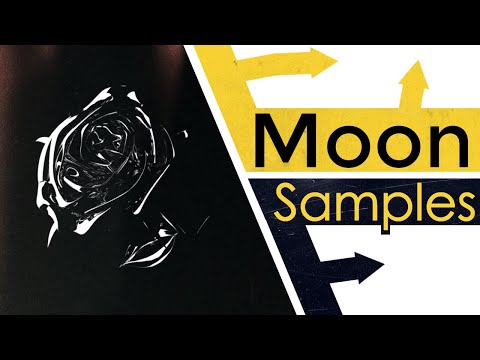 Every Sample From Pop Smoke's Shoot for the Stars, Aim for the Moon