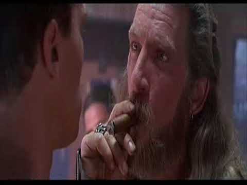 terminators 2 reperu diena