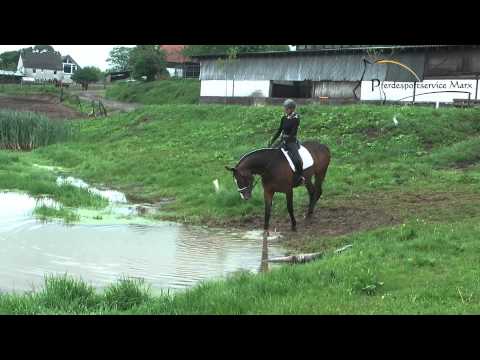 Lakordina *2010 www.pferdesportservice.de - teich