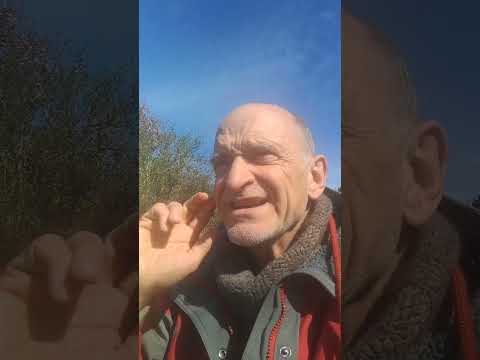 Personligt lederskab