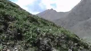 Banco de Gaia - Big Men Cry