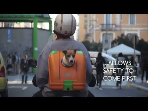 POW Pet On Wheels White - Grey
