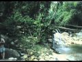Greg Joy - Greensleeves (Fotos em Andorinhas ...