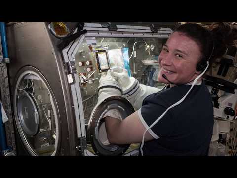 Video Chat with an Astronaut - McGovern Medical School