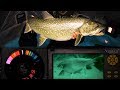 Smacking Lake Trout - Tricks & Toys - Northern Manitoba