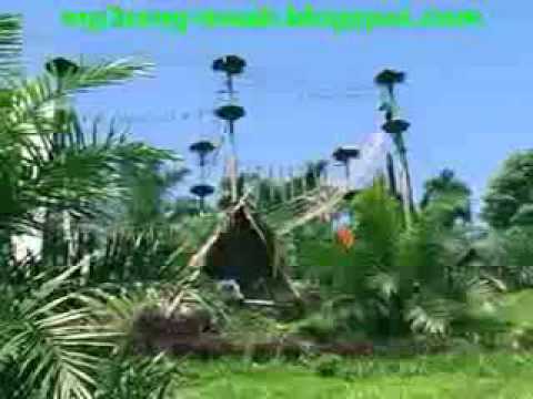 Download Lagu Minang 3gp Mp3 dan Mp4 Terlengkap Gratis