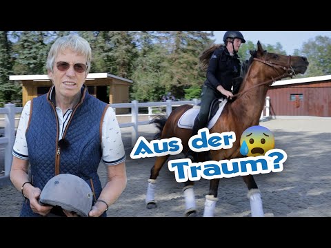 Plötzliche Wesensveränderung lässt Fragen offen - Kann Sie je mit ihrer Stute ausreiten?