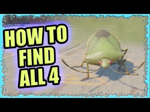 Green Shield Bug Location Grounded