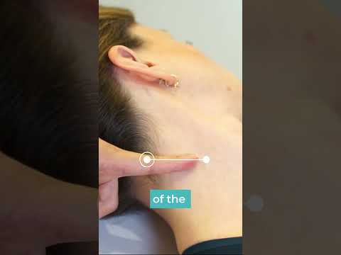 Jugular venous pressure (JVP) #shorts #nursepractitionerstudent