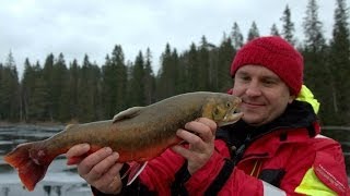 Ловля палии в норвегии