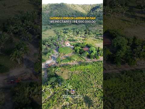 FAZENDA À VENDA EM LAGOINHA DO PIAUÍ | R$ 600.000,00 🌱