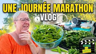 Vlog une journée bien remplie entre jardinage cuisine et bricolage maison #vlog #maman