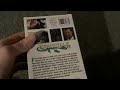 Beanstalk 1994 VHS Review