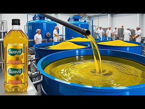 Como o ÓLEO DE GIRASSOL é Produzido? O Processo Completo Explicado 🌻