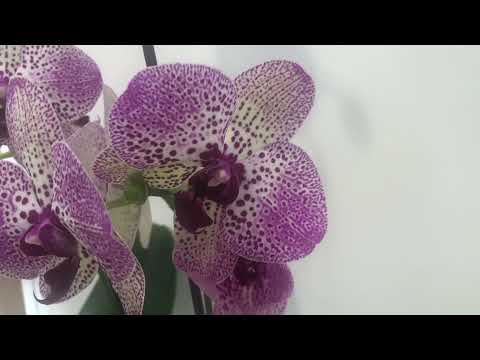 HeatWaveFollowUP2022