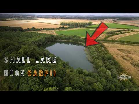 Fishing a Small Lake for Giant UK Carp | An Epic Session with James Barry