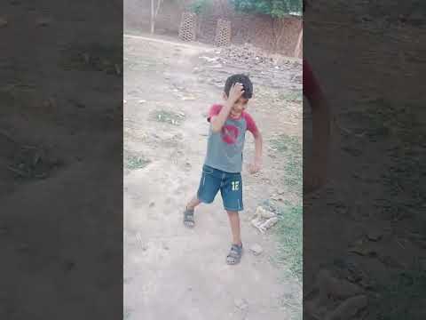 Huzaifa Ka German Shepherd Cross Dog.