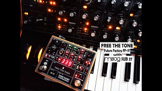 FREE THE TONE FF-1Y delay with Moog SUB 37