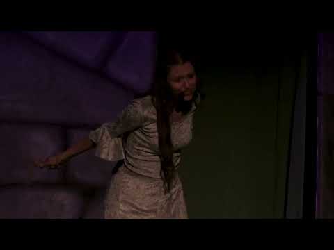 31 Ali in gabbia occhi selvaggi - Notre Dame de Paris - I Pavesi - Fuori di scena