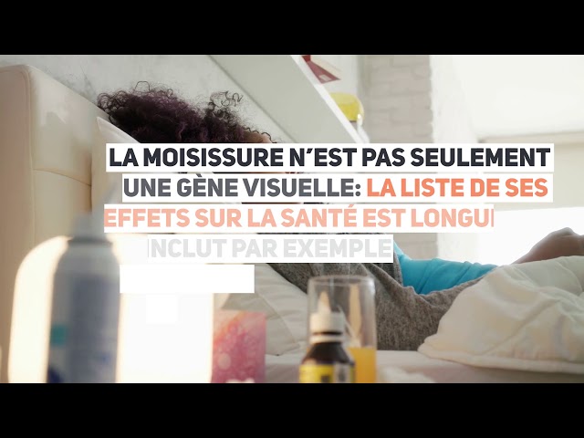 Guide du nettoyage anti-moisissure à Montréal - ChiffonVert