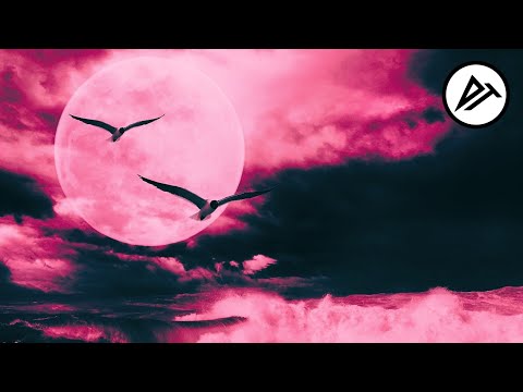 ✓ Nehilo - Blue Lights ft. LizAnn