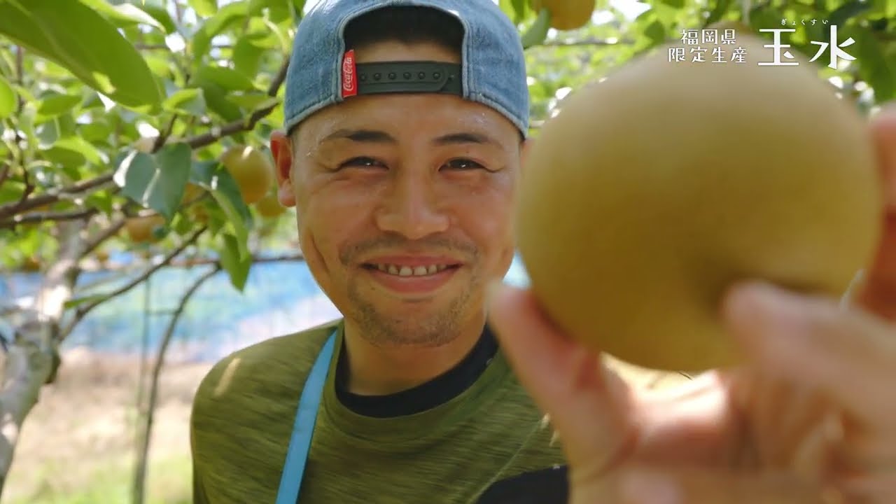 【후쿠오카현 한정 생산】 후쿠오카현 오리지널 신품종 배「玉水」(교쿠스이)