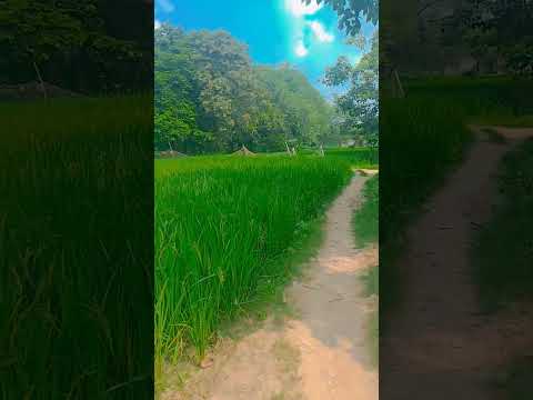 #kato ko shikayat kya kare