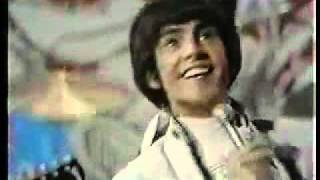 Paul Revere &amp; The Raiders - I Had A Dream