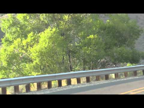 W-W FS Staff Unsafe Driving