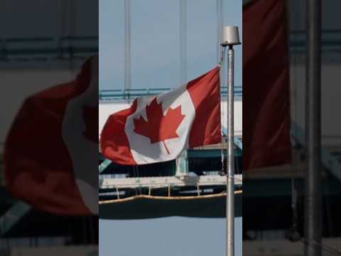 Trump moves to ban Canadian dairy and alcohol imports
