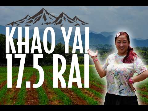 Khao yai, nakhon-ratchasima, Pong Ta Long, Pak Chong, Nakhon Ratchasima, , 28,000 sqm, Land For Sale, by Praab Thiranusorn, 500590303 - DDproperty.com
