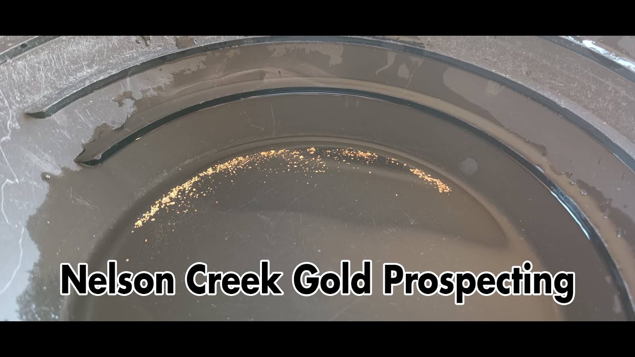 Gold prospecting at Nelson Creek Fossicking Area