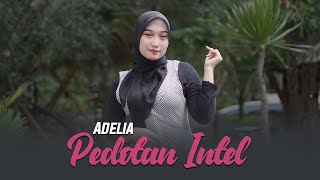 Download lagu Adelia - Pedotan Intel [ ] mp3