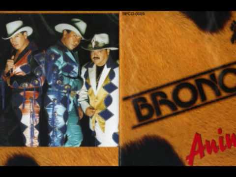 BRONCO " Y ESO NO "