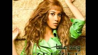 كلمات اغنية طب وانا مالي زيزي عادل