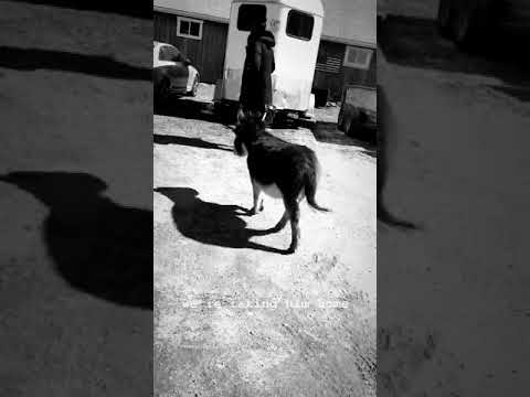 download lagu mp3 mp4 Alejandra Alonso Rojas Instagram, download lagu Alejandra Alonso Rojas Instagram gratis, unduh video klip Alejandra Alonso Rojas Instagram