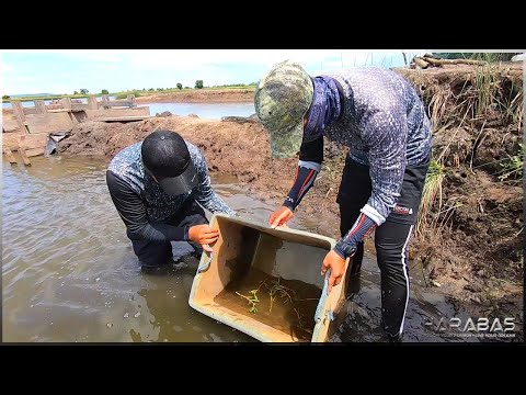 EP412-Part 1 - Paghulog ng Similya ng Sugpo | Occ. Mindoro