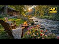 Spring Riverside Relaxation In Forest Cozy Crackling Fire Pit With Soothing Nature Sounds Birdsong