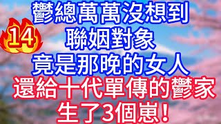 【14】鬱總萬萬沒想到，聯姻對象，竟是那晚的女人，還給十代單傳的鬱家，生了3個崽！#故事 #人生哲理