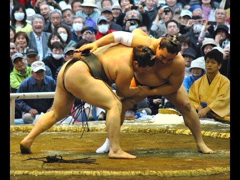 Outdoor Sumo - Hakuho vs Harumafuji Yokozuna Match 相撲