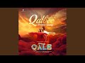 Qalbee Promo Song From Qalb