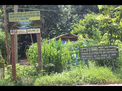 Volunteer at Ambue Ari / Sé voluntario en Ambue Ari