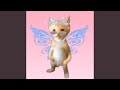 SHE WAS A FAIRY JERK DRILL RMX