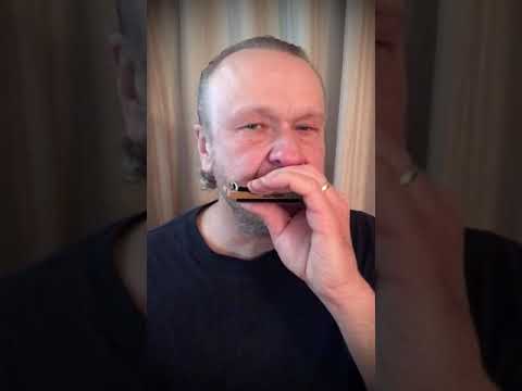 WHEN THE SAINTS #4 - Chicago Blues Style - Filisko Method - Played in “D” on a Hohner G