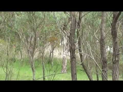 British Off Road @ ARB Extreme Winch Challenge 2013 Round1