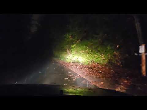 Ape Yola - Yo, Yola! (Official Visualizer)