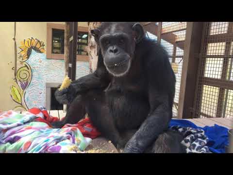 Happy Thanksgiving 2018!