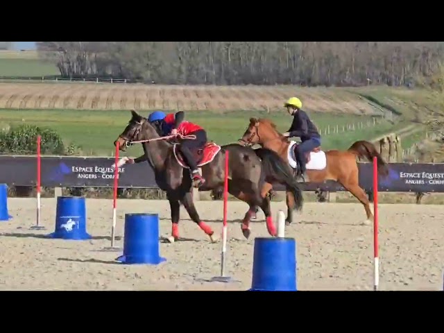 Poney C, Pony games.