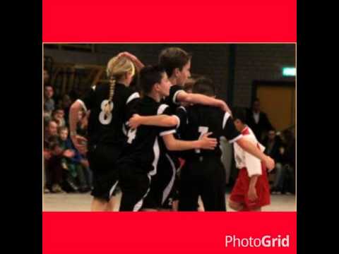 De Paardestaarten in GjS D1